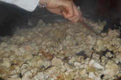 DSCN0291