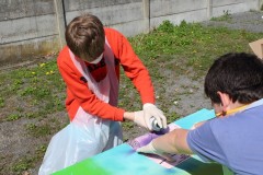 IMG_0770