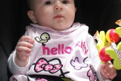 SONY DSC