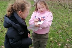 IMG-20260210-WA0022