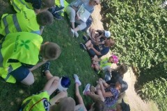 IMG-20250701-WA0025
