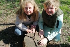 IMG-20250402-WA0001