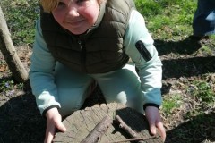 IMG-20250402-WA0006