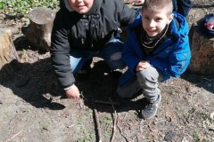 IMG-20250402-WA0017