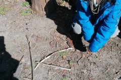 IMG-20250402-WA0025