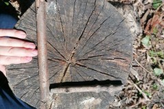 IMG-20250402-WA0027