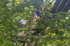 IMG-20250630-WA0052