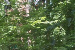 IMG-20250630-WA0067