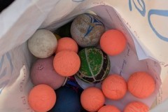 IMG-20250919-WA0024