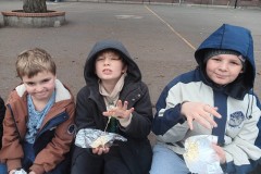 IMG-20260201-WA0017
