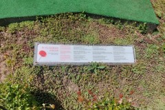 IMG-20250519-WA0128