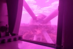 IMG-20250519-WA0259