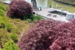 IMG-20250519-WA0296