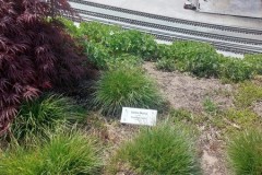 IMG-20250519-WA0297