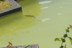 IMG-20250519-WA0309