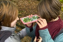 IMG-20251106-WA0013