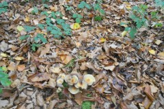 DSCN0755