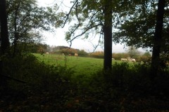 DSCN0760
