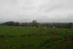 DSCN0761