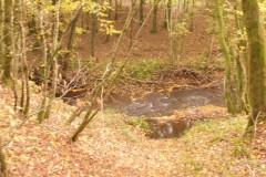 DSCN0780