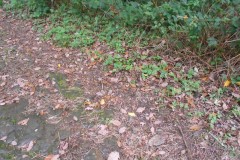 DSCN0797