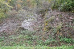 DSCN0798