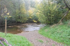 DSCN0799