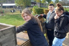 IMG-20221107-WA0006