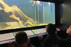IMG-20260505-WA0008