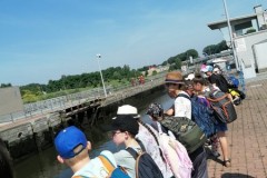 IMG-20260622-WA0046