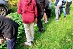 IMG-20251017-WA0239