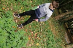 IMG-20251013-WA0017