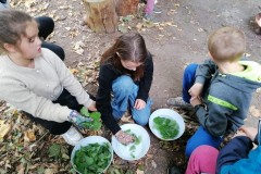 IMG-20251013-WA0020