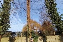 IMG-20260119-WA0004