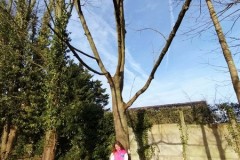 IMG-20260119-WA0006
