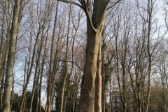 IMG-20260119-WA0008