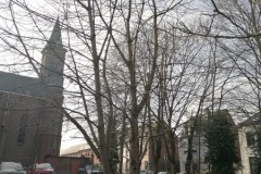 IMG-20260119-WA0009