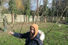 IMG-20260119-WA0010