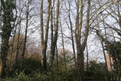 IMG-20260119-WA0012