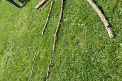 IMG-20260604-WA0011