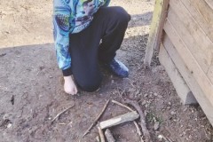 IMG-20260323-WA0007