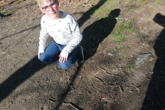 IMG-20260323-WA0012