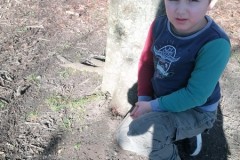 IMG-20260323-WA0018