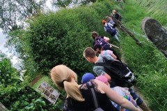 278351562_534872284712338_7964598030621995022_n