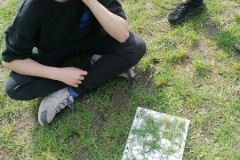 IMG-20260323-WA0065
