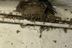 IMG-20260605-WA0001