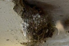 IMG-20260605-WA0004