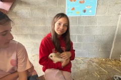 IMG-20260605-WA0014