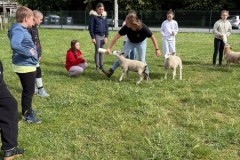 IMG-20260605-WA0040