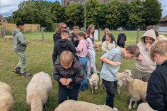 IMG-20260605-WA0052